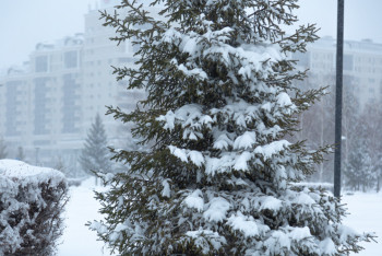 Фотография к новости: Қазгидромет Астана мен Алматы тұрғындарына ескерту жасады