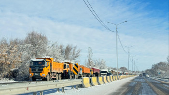 Фотография к новости: Жетісуда егіс көлемі ұлғаяды