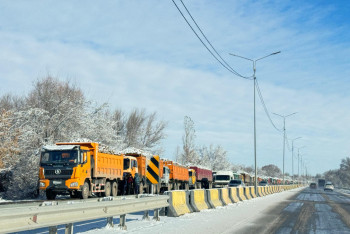 Фотография к новости: Жетісуда егіс көлемі ұлғаяды