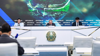 Фотография к новости: Қазақстанға жерсіндіру үшін тағы қанша жолбарыс әкелінетіні белгілі болды