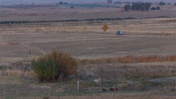 Фотография к новости: Бірқатар аудандағы жерлер үкімет меншігіне қайтарылды