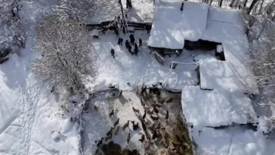 Жетісуда есірткі мен экстремистік материалдар таратқандар ұсталды