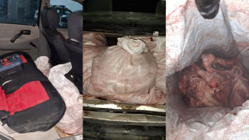 Фотография к новости: Қызылорда облысында браконьерден 14 қап киік еті тәркіленді