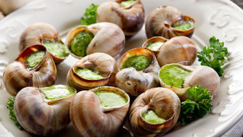 Фотография к новости: Оңтүстік-Шығыс Азияға демалысқа барған әйел қауіпті инфекция жұқтырды