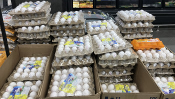 Фотография к новости: Қазақстанға жұмыртқа әкелуге тыйым салынбақ