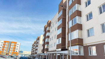 Фотография к новости: Жетісуда биыл 1500-ге жуық отбасы үйлі болады