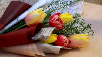 Фотография к новости: Әйелдер күні келе жатыр: ІІМ қазақстандықтарға үндеу жасады