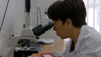 Фотография к новости: Ғалымдар тасшөптің құпия қасиеттерін ашты