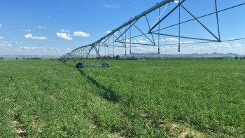 Фотография к новости: Елімізде жылына 1000 жаңбырлатып суару машиналары өндірісі жолға қойылады