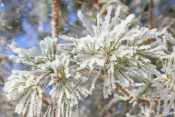 Фотография к новости: "Қазгидромет": Оңтүстікте жауын, батыста қар жауады