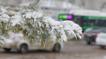 Фотография к новости: Қыстың соңғы күндері ауа райы қандай болады