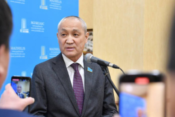 Фотография к новости: "Өкшесін жұлып, мүгедек еткен". Жаңбыршин қаңғыбас иттен келетін қауіпті айтты