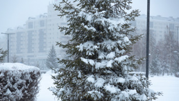 Фотография к новости: Бірқатар өңірде қалың қар жауады