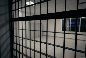 Фотография к новости: Ірі көлемде алаяқтық жасағандар шекарада ұсталды