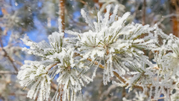 Фотография к новости: Қар, тұман: Бірнеше өңірде дауылды ескерту жарияланды