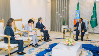 Фотография к новости: Қазақстан елшісі Эфиопия президентімен кездесті