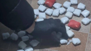 Фотография к новости: ІІМ: Елімізде ақпанда 17 есірткі зертханасы жойылды