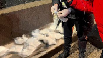 Фотография к новости: ҰҚК еліміздің бірқатар қалаларындағы есірткі арнасының жолын кесті