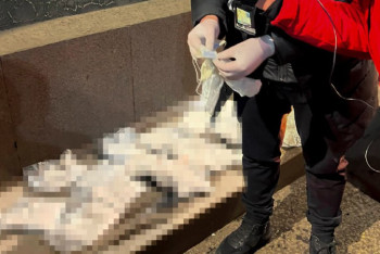 Фотография к новости: ҰҚК еліміздің бірқатар қалаларындағы есірткі арнасының жолын кесті