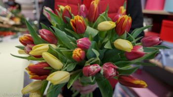 Фотография к новости: Қазақстандықтар 8 наурызда қалай демалады