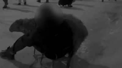 Ақтау тұрғыны қойды шанамен сырғанатуға мәжбүрлеген