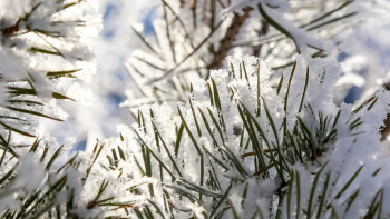 Фотография к новости: Наурыз айында ауа райы қандай болады