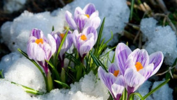 Фотография к новости: +20 градус: алдағы күндерге ауа райы болжамы