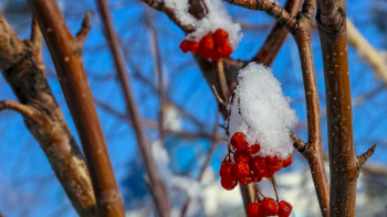Фотография к новости: "Қазгидромет": Елдің басым бөлігінде ауа райы тұрақсыз болады
