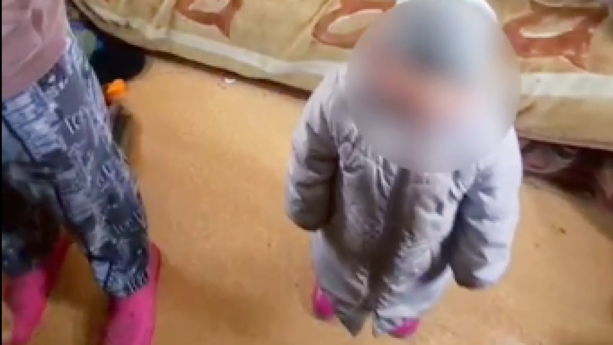  Видеодан скрин