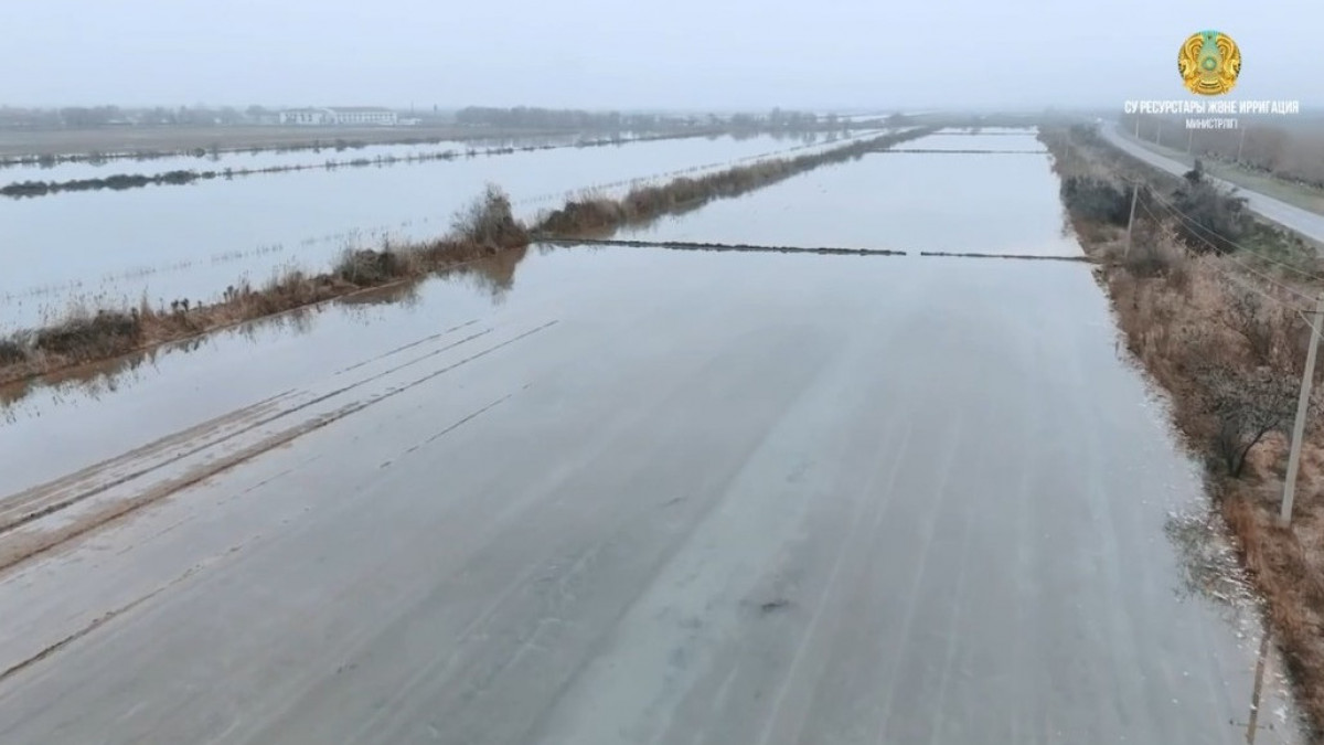  видеодан алынған кадр