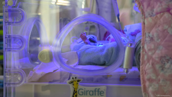 Фотография к новости: 2,4 миллион сәбиге өмір сыйлаған донор қайтыс болды