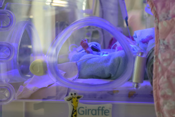 Фотография к новости: 2,4 миллион сәбиге өмір сыйлаған донор қайтыс болды