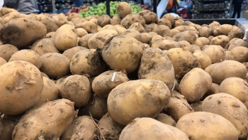 Фотография к новости: Картоп бағасы неге арзандамай отыр? – Жұманғарин басты себебін атады