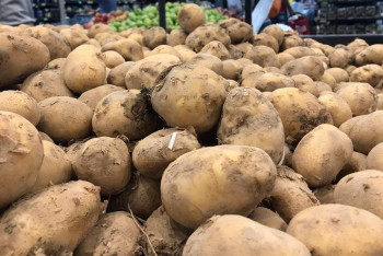 Фотография к новости: Картоп бағасы неге арзандамай отыр? – Жұманғарин басты себебін атады