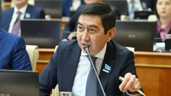 Фотография к новости: Депутат өнер адамдарына еден жуушы ретінде қарауды доғаруды сұрады