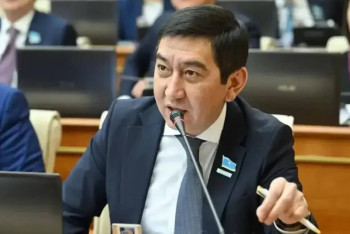 Фотография к новости: Депутат өнер адамдарына еден жуушы ретінде қарауды доғаруды сұрады