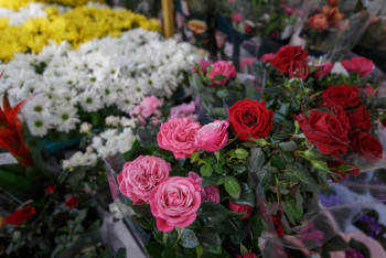 Фотография к новости: Гүл сатып алу үшін 61 млн доллар жұмсалды