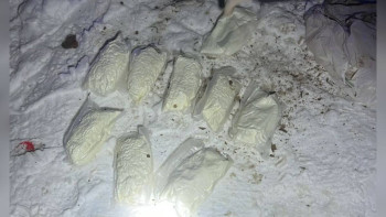 Фотография к новости: Есірткі контрабандасымен ұсталған шетел азаматына  үкім шықты