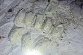 Фотография к новости: Есірткі контрабандасымен ұсталған шетел азаматына  үкім шықты