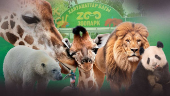 Фотография к новости: Фоторепортаж: Алматы хайуанаттар бағының бүгінгі жай-күйі қандай