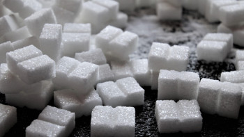 Фотография к новости: Қанттың бағасы шарықтап кетті