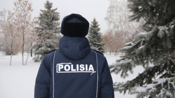 Фотография к новости: Ақмола облысында заңсыз ағаш кесу фактісі анықталды