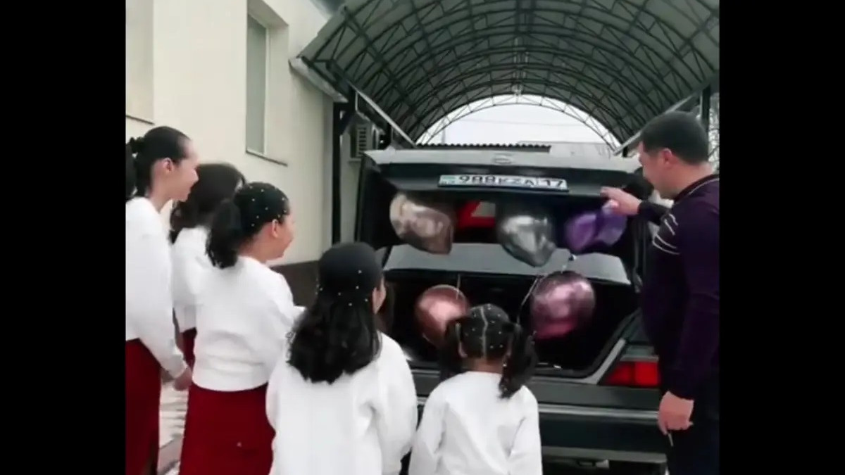  видеодан кадр