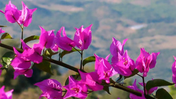 Фотография к новости: Наурызда қазақстандықтар қанша күн демалады?