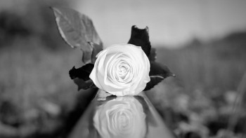 Фотография к новости: Алматыда жас қыз көпқабатты үйден секіріп кетті