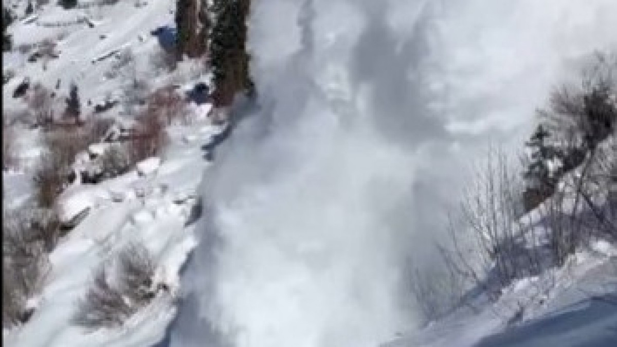  видеодан алынған кадр