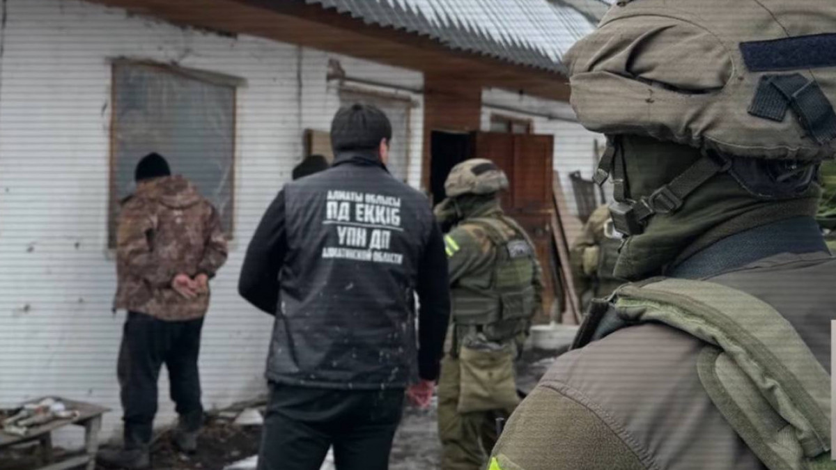  Видеодан скриншот