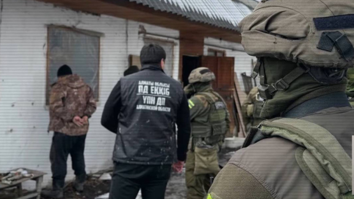  Видеодан скриншот