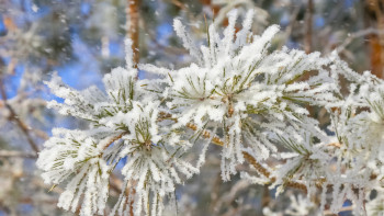 Фотография к новости: Қар, жаңбыр: Бірнеше өңірде дауылды ескерту жарияланды