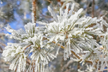Фотография к новости: Қар, жаңбыр: Бірнеше өңірде дауылды ескерту жарияланды